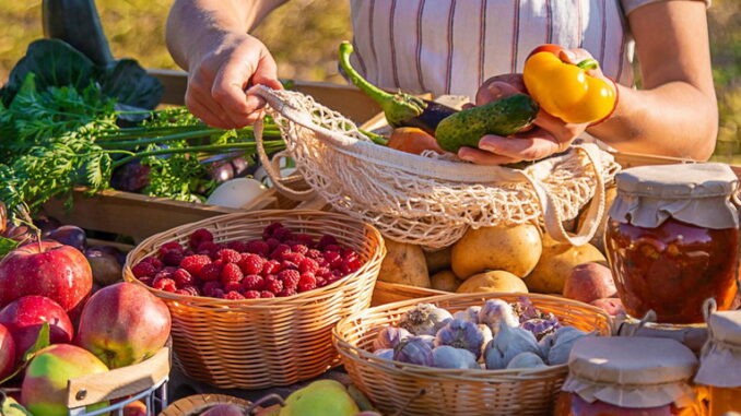 L’importanza del settore agroalimentare in italia